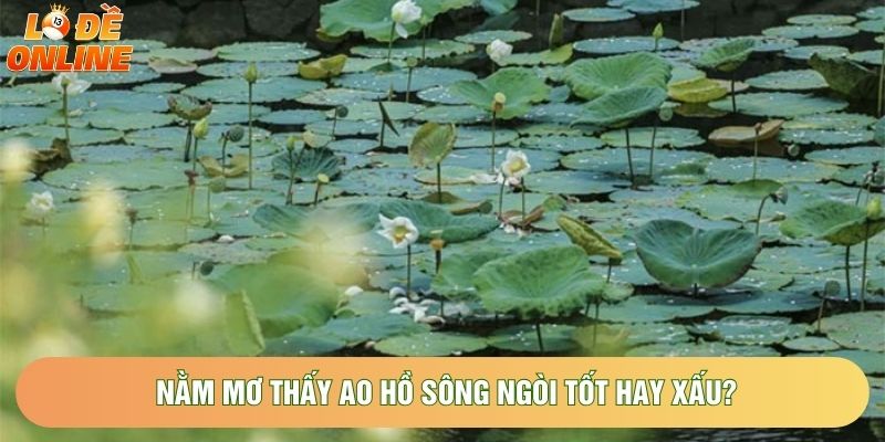 Nằm mơ thấy ao hồ sông ngòi tốt hay xấu? Nằm mơ thấy ao hồ sông ngòi tốt hay xấu?