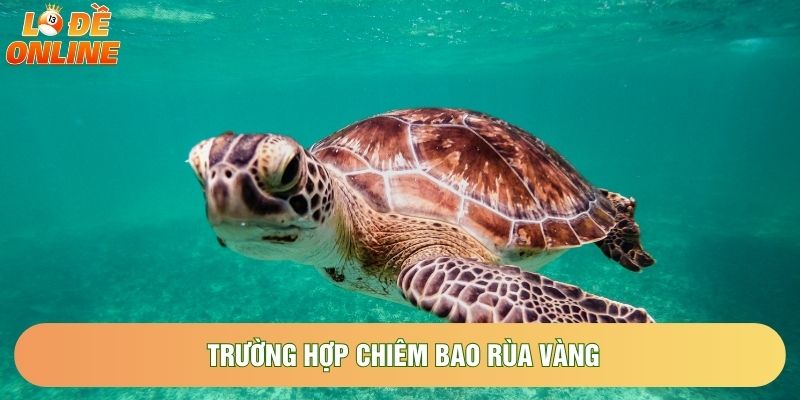 Trường hợp chiêm bao rùa vàng Trường hợp chiêm bao rùa vàng